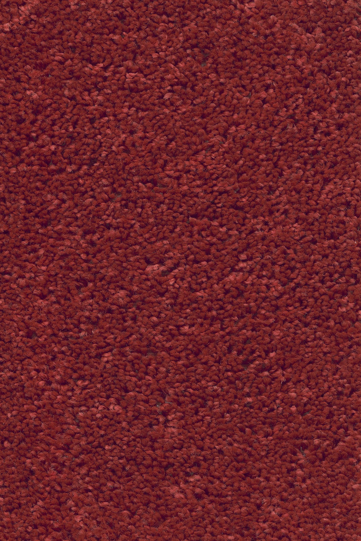 Andiamo Teppichboden »Trondheim«, rechteckig, 14 mm Höhe, Meterware, Breite 400 cm, uni, schallschluckend