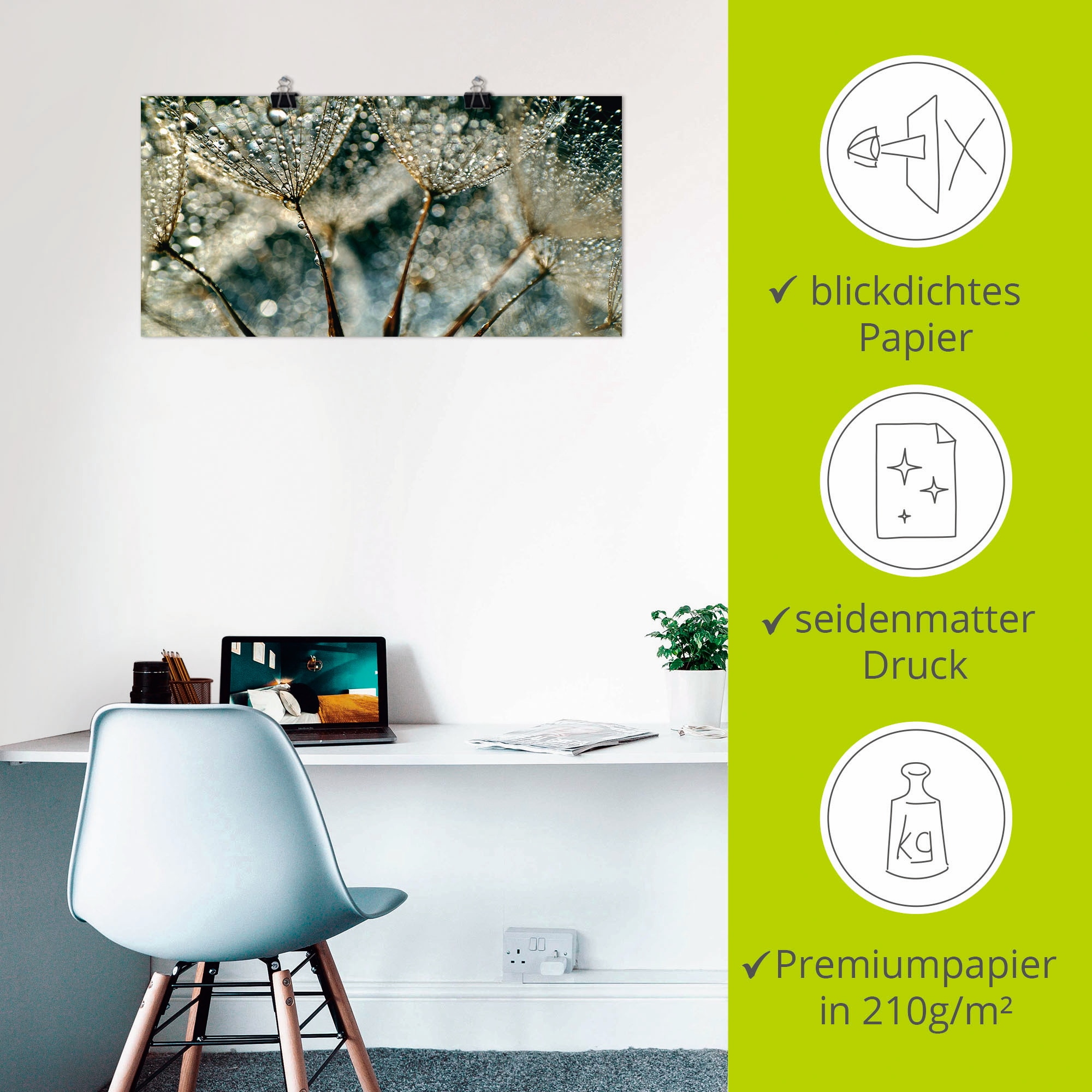 Artland Wandbild »Pusteblume Regenschauer«, Blumen, (1 St.), als Alubild, Outdoorbild, Leinwandbild, Poster, Wandaufkleber