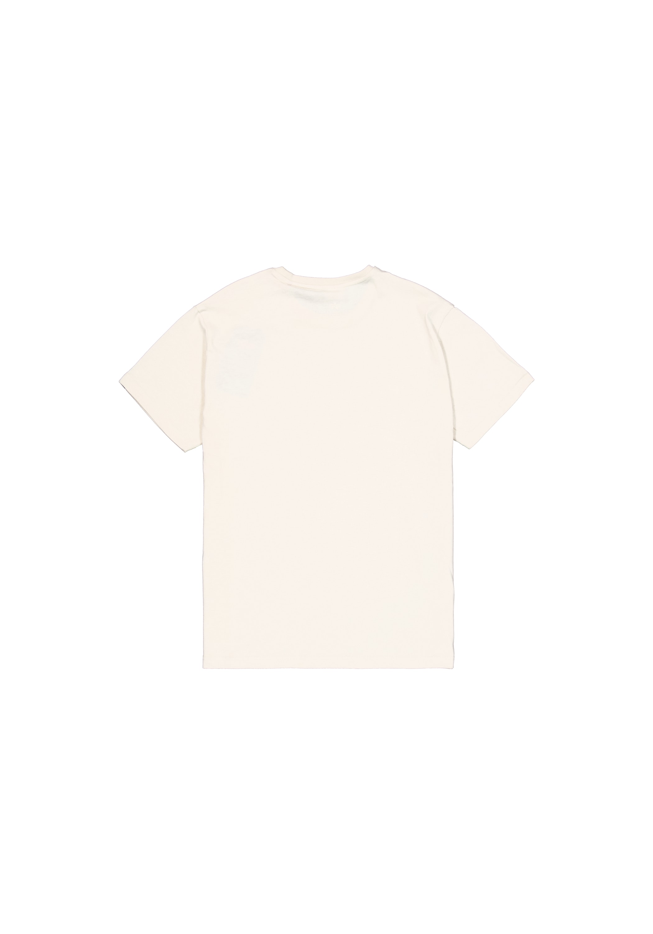 Alpha Industries T-Shirt »Basic T-Shirt BL Carbon«