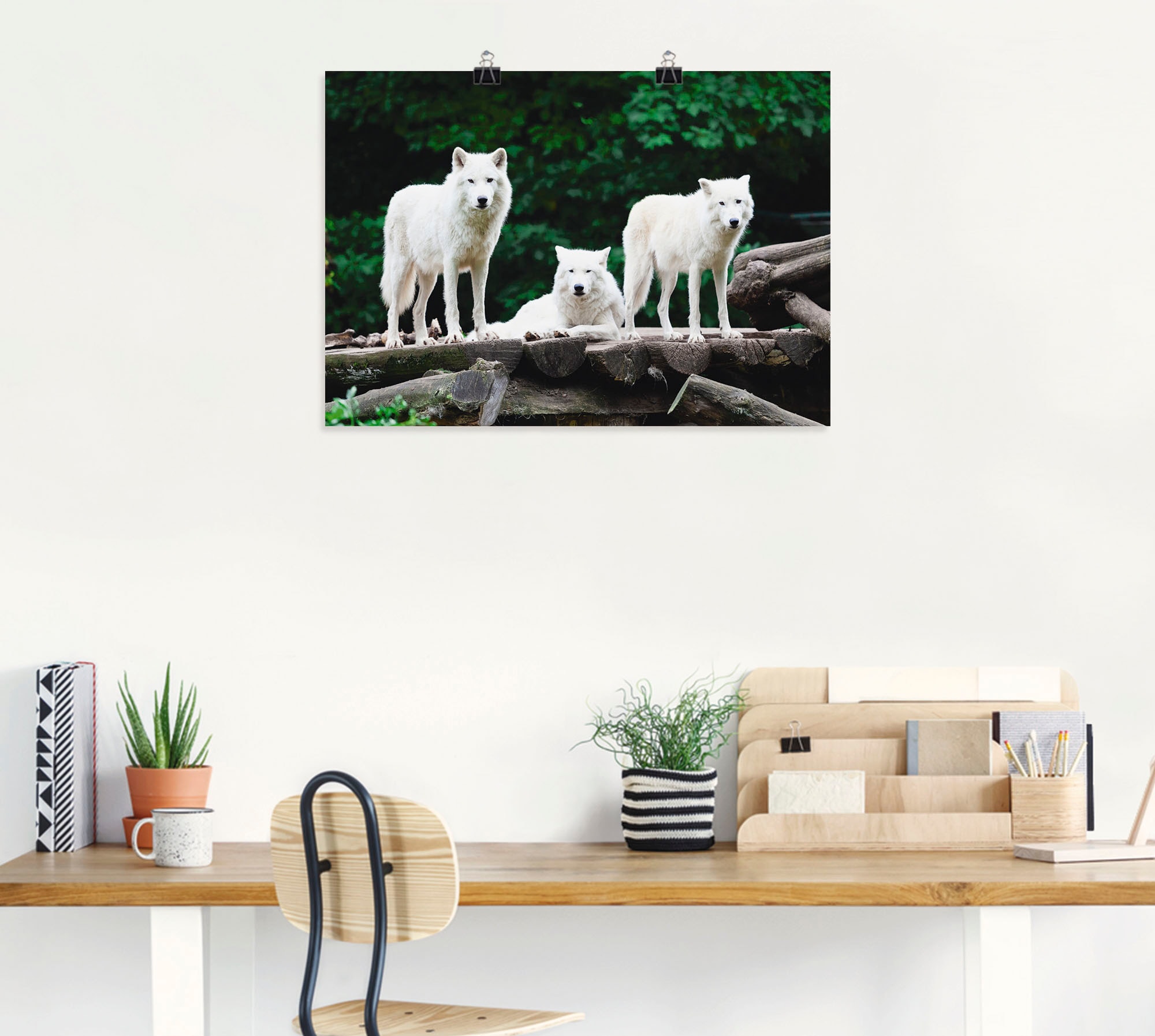 Artland Wandbild »Arktische Wölfe« Wildtiere 1 Stk. tlg. als Leinwandbild, Poster in verschied. Größen