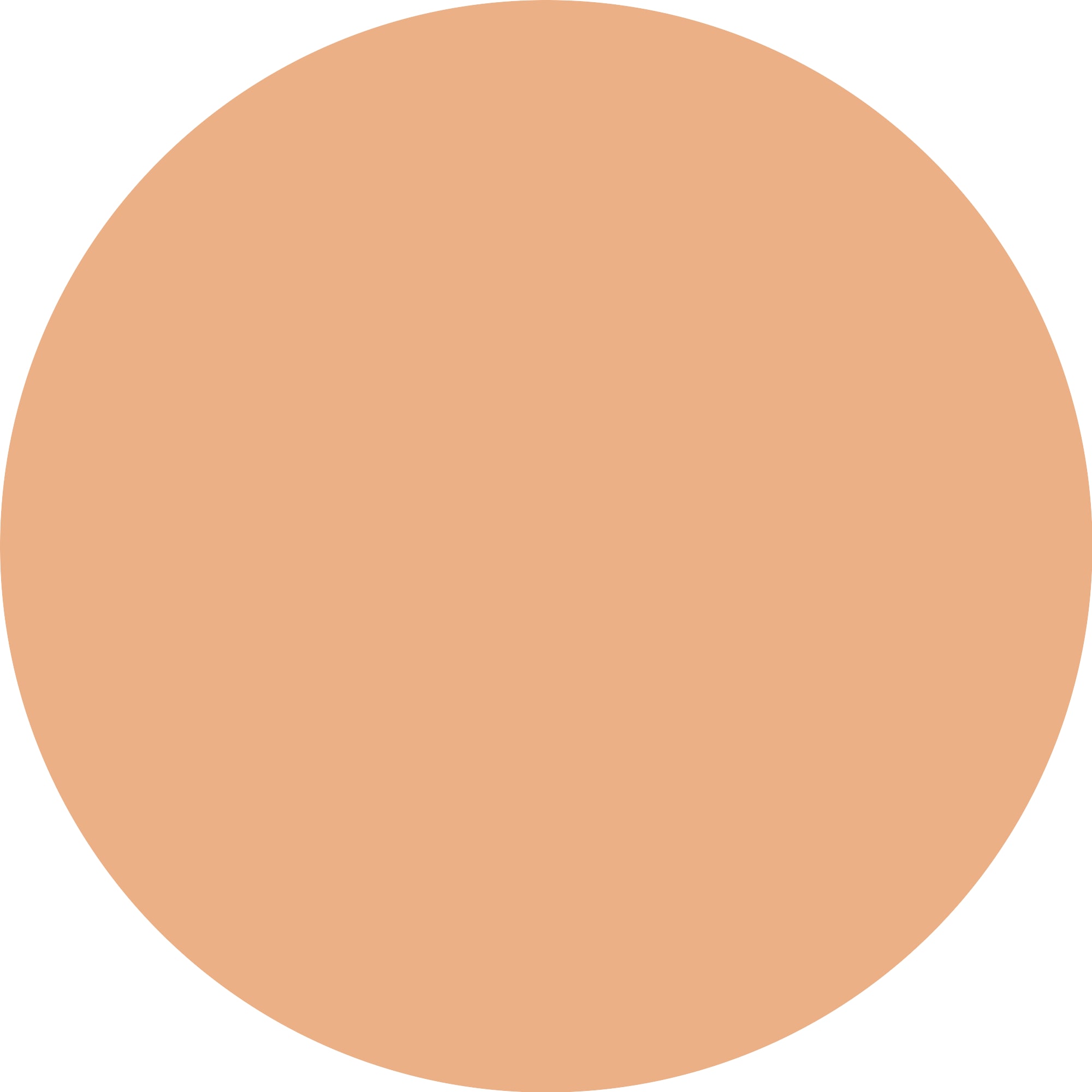 Essence Foundation »BRIGHTEN UP! cushion foundation« Langanhaltend, wasserfest, mittlere Deckkraft