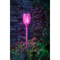 BONETTI LED Gartenfackel »Solar Fackel«, LED-Modul, 1 St., LED Solar Gartenfackel lila mit realer Flamme