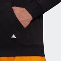 adidas Performance Sweatshirt »FUTURE ICONS HOODIE«