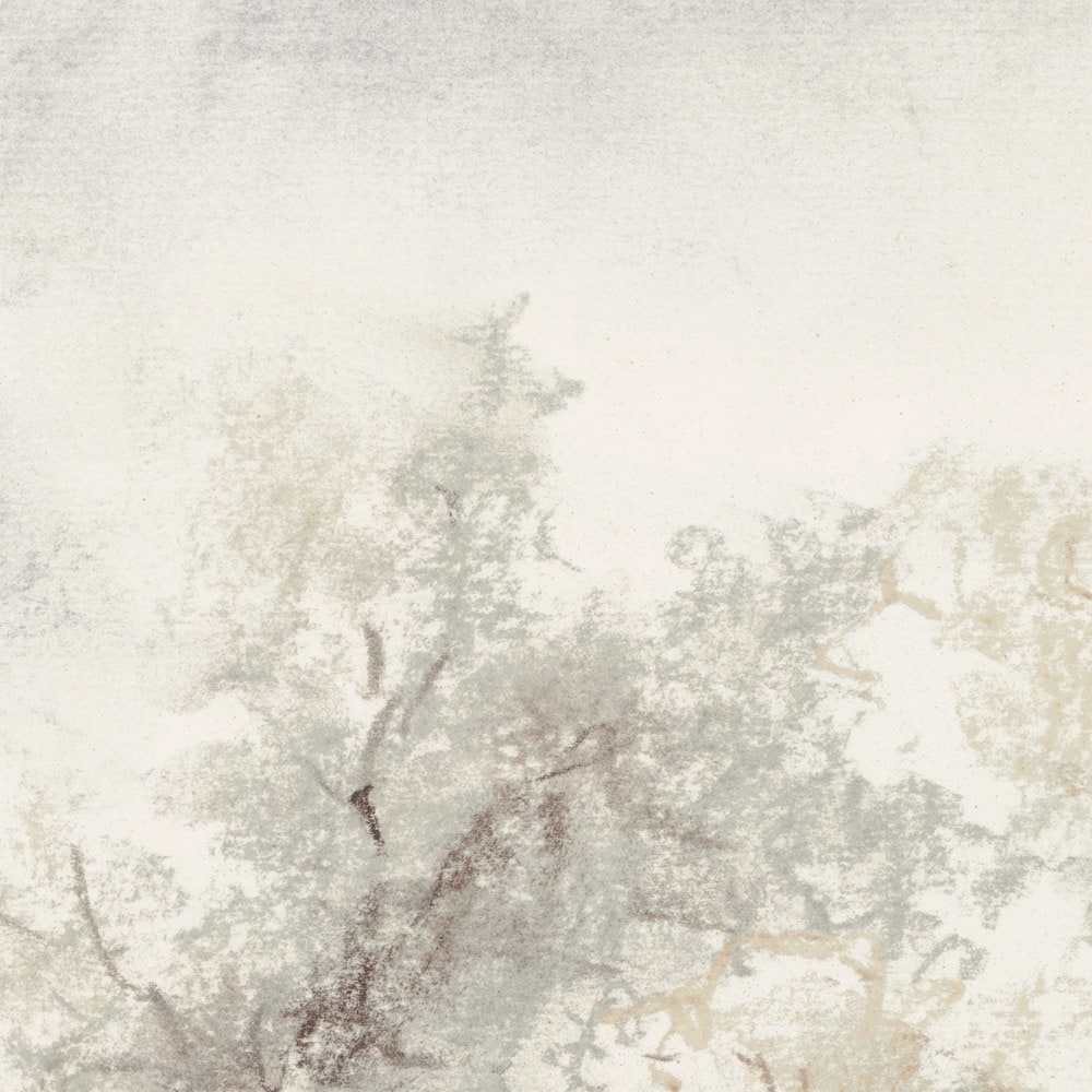 Komar Fototapete »Vlies Fototapete - Grove - Größe 350 x 250 cm« Motiv | bedruckt glatt