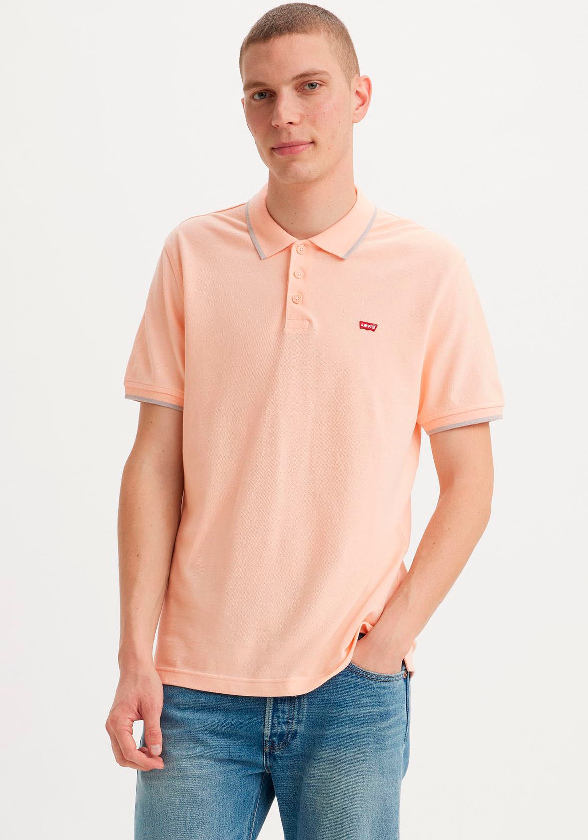 Levi's® Poloshirt »LE NEW LEVIS HM POLO«, mit kleinem Batwing-Logo