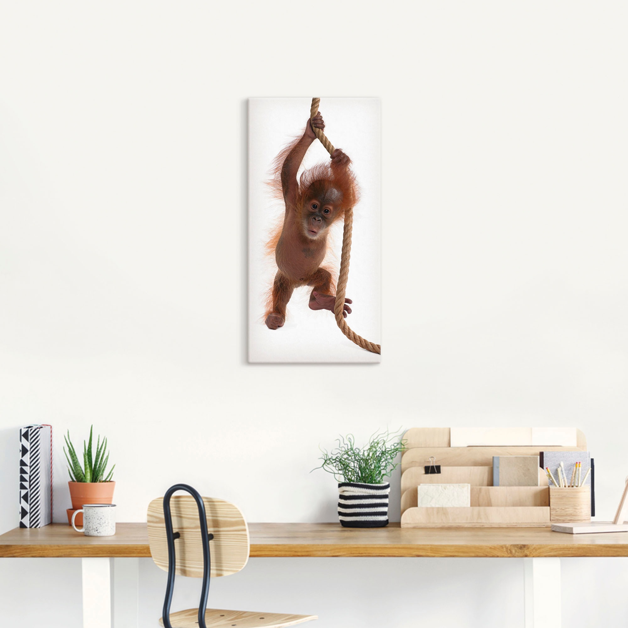 Artland Wandbild »Baby Orang Utan hängt am Seil I«, Wildtiere, (1 St.), als Alubild, Leinwandbild, Wandaufkleber oder Poster in versch. Größen