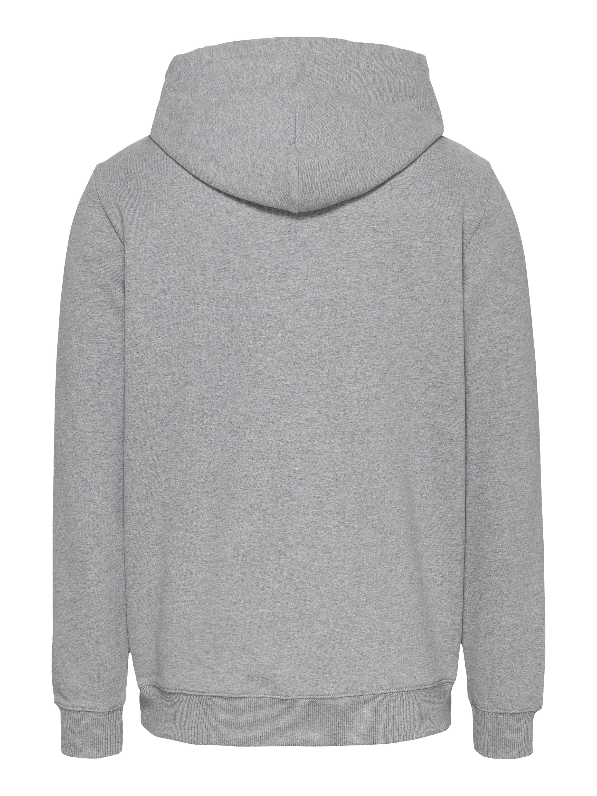 Tommy Jeans Plus Hoodie »TJM REG ENTRY GRAPHIC HOODIE EXT«, in Großen Größen, Logodruck, Kängurutasche