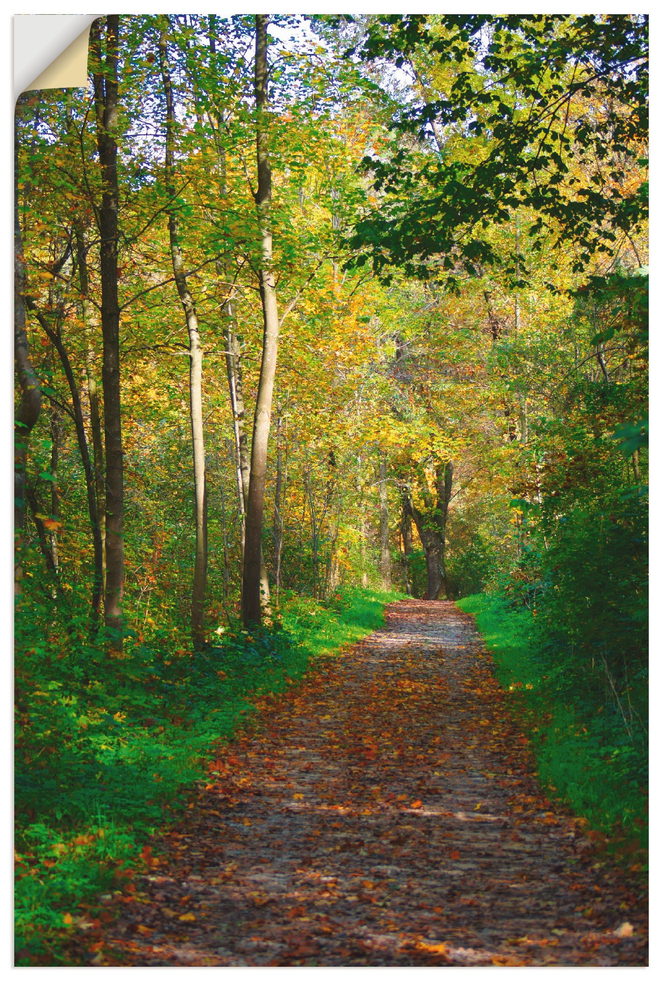 Artland Wandbild »Weg im Herbst Wald«, Wald, (1 St.), in vielen Größen & Produktarten - Alubild / Outdoorbild für den Außenbereich, Leinwandbild, Poster, Wandaufkleber / Wandtattoo auch für Badezimmer geeignet