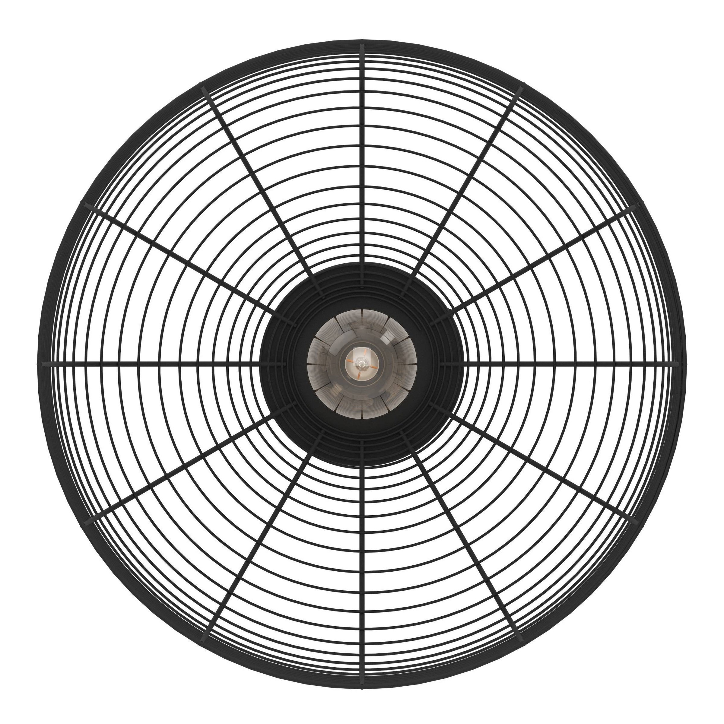 EGLO Deckenleuchte »Rinroe Deckenlampe, Wohnzimmerlampe, Industrial, Metall, E27, Lampe« E27 1 Stk. Wand-/Deckenleuchte - H20 x Ø45 cm - schwarz - 1X40W exkl.