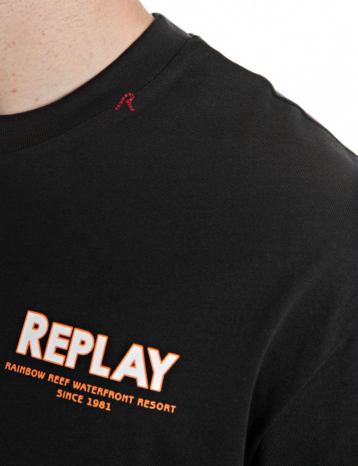 Replay T-Shirt mit bedrucktem Rücken, Print