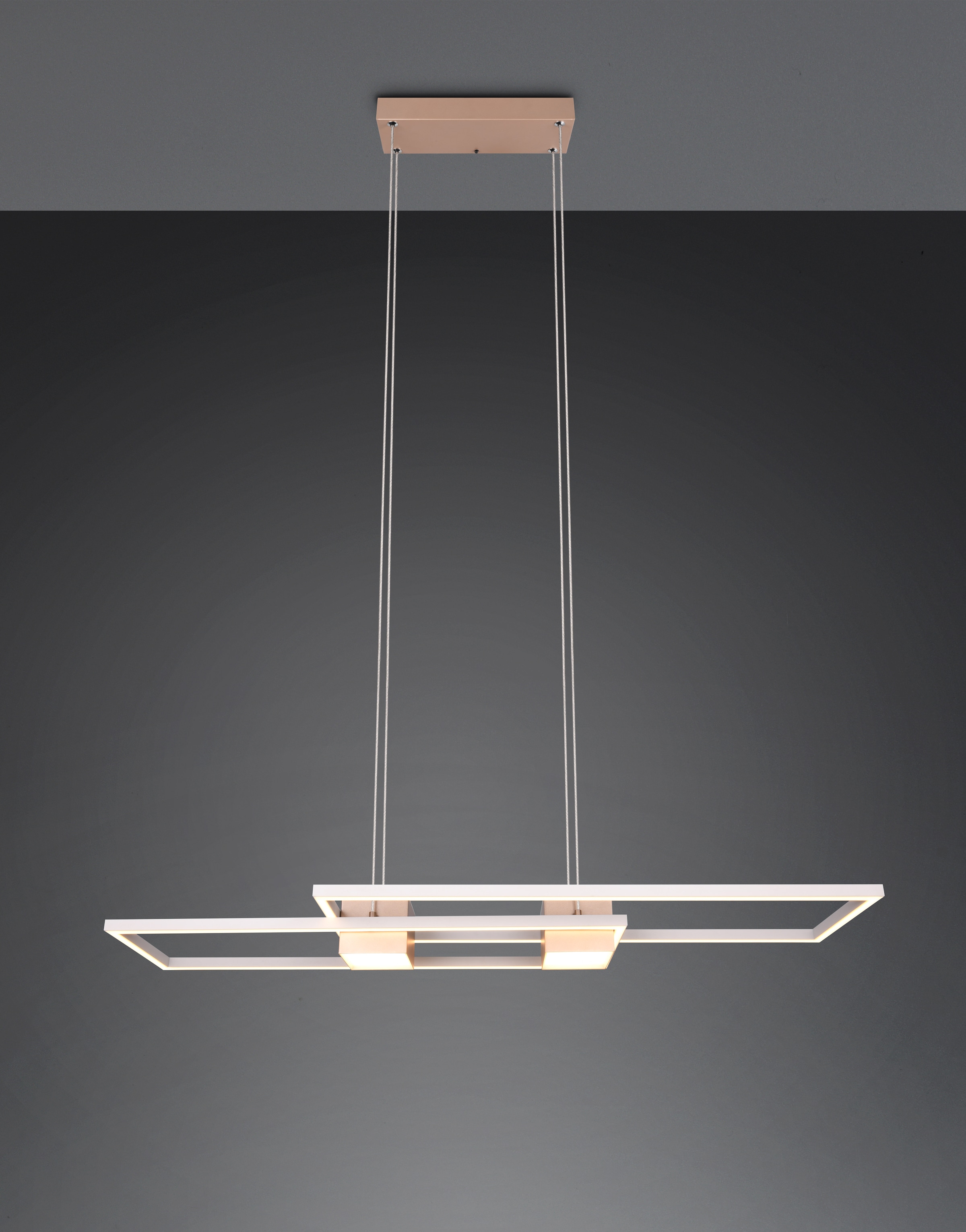 TRIO Leuchten LED Pendelleuchte »ALBANY, LED Hängelampe Wohnzimmer mit Fernbedienung, dimmbar, CCT« LED-Board 1 Stk. warmweiß - kaltweiß Lichtfarbe einstellbar, Memoryfunktion, Nachtlicht, up-and-down Licht