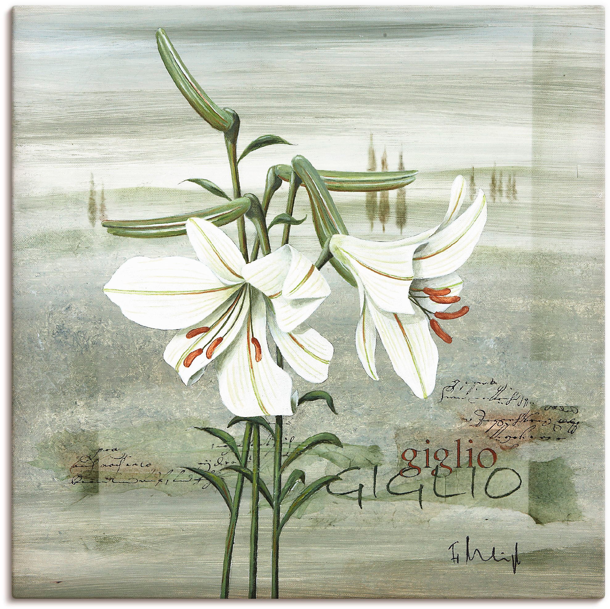 Artland Wandbild »Lilie«, Blumen, (1 St.), in vielen Größen & Produktarten -Leinwandbild, Poster, Wandaufkleber / Wandtattoo auch für Badezimmer geeignet