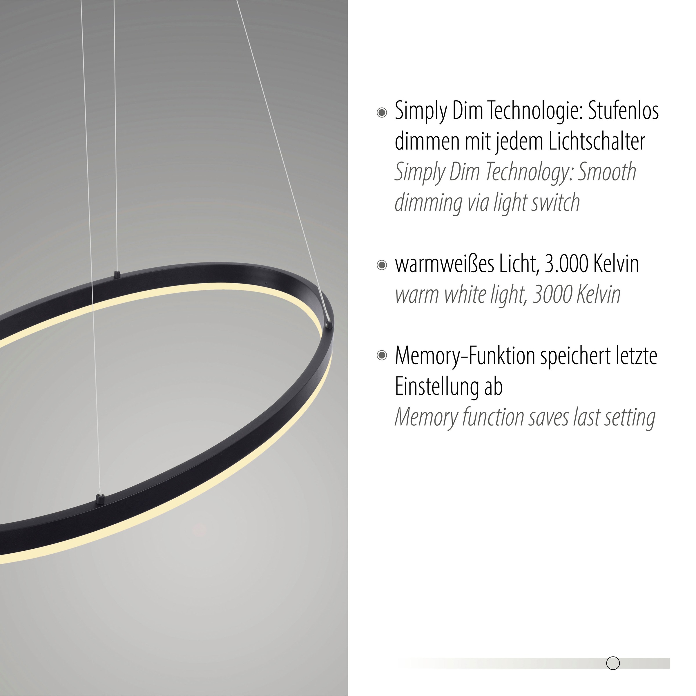 Paul Neuhaus Pendelleuchte »TITUS«, 1 flammig, Leuchtmittel LED-Board | LED fest integriert, LED, dimmbar, Simply Dim, Memory, nach Trennung vom Netz