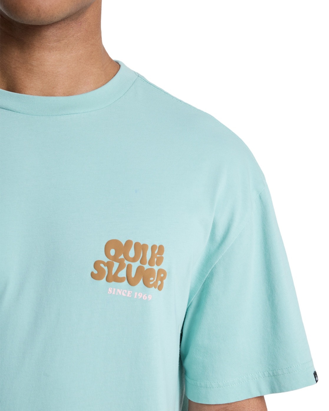 Quiksilver T-Shirt »Fruits Tide«