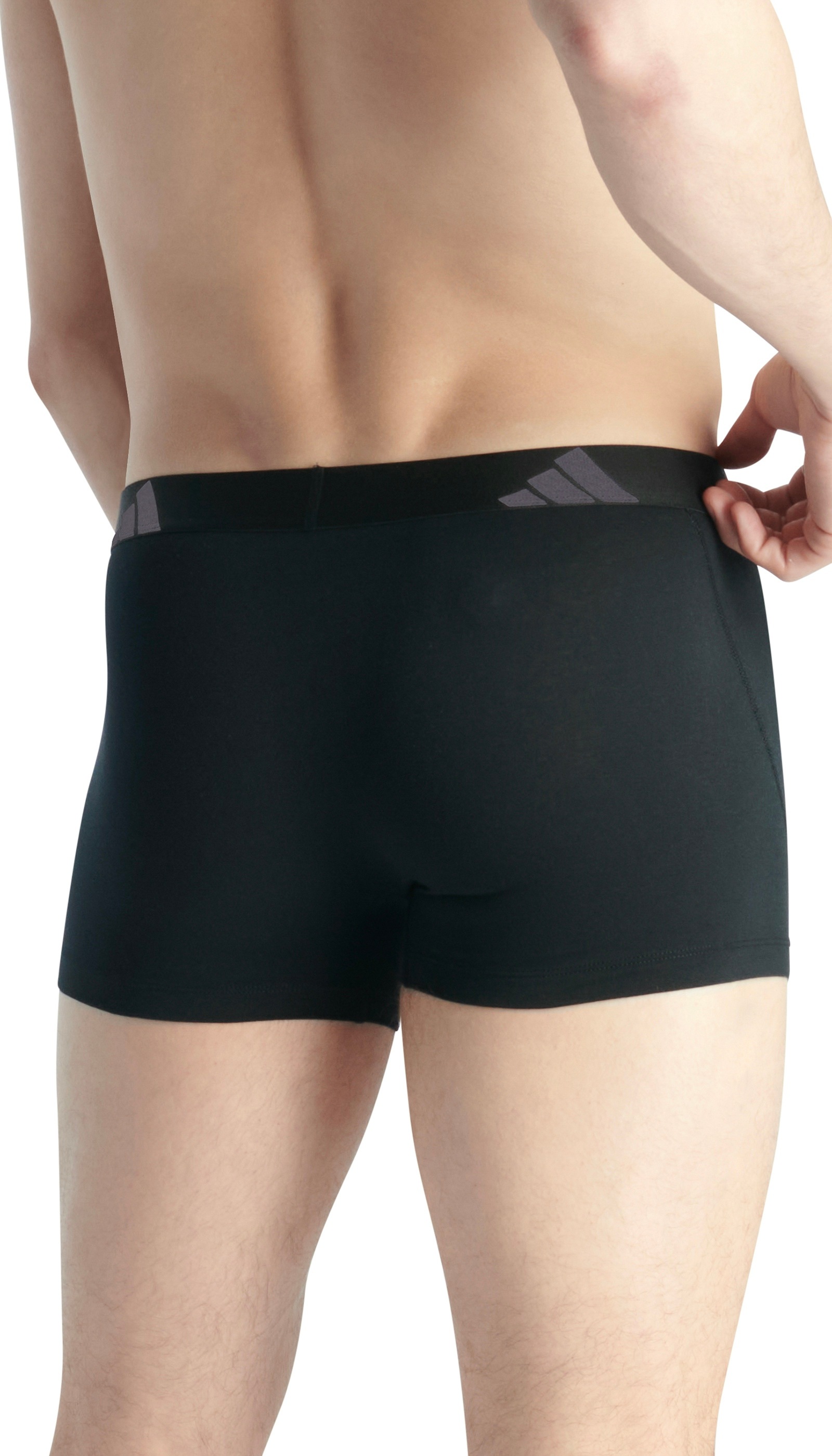 adidas Sportswear Trunk »Active Flex Cotton« 5er Pack,  Multipack, elastisch, Logo-Bund, ohne Eingriff