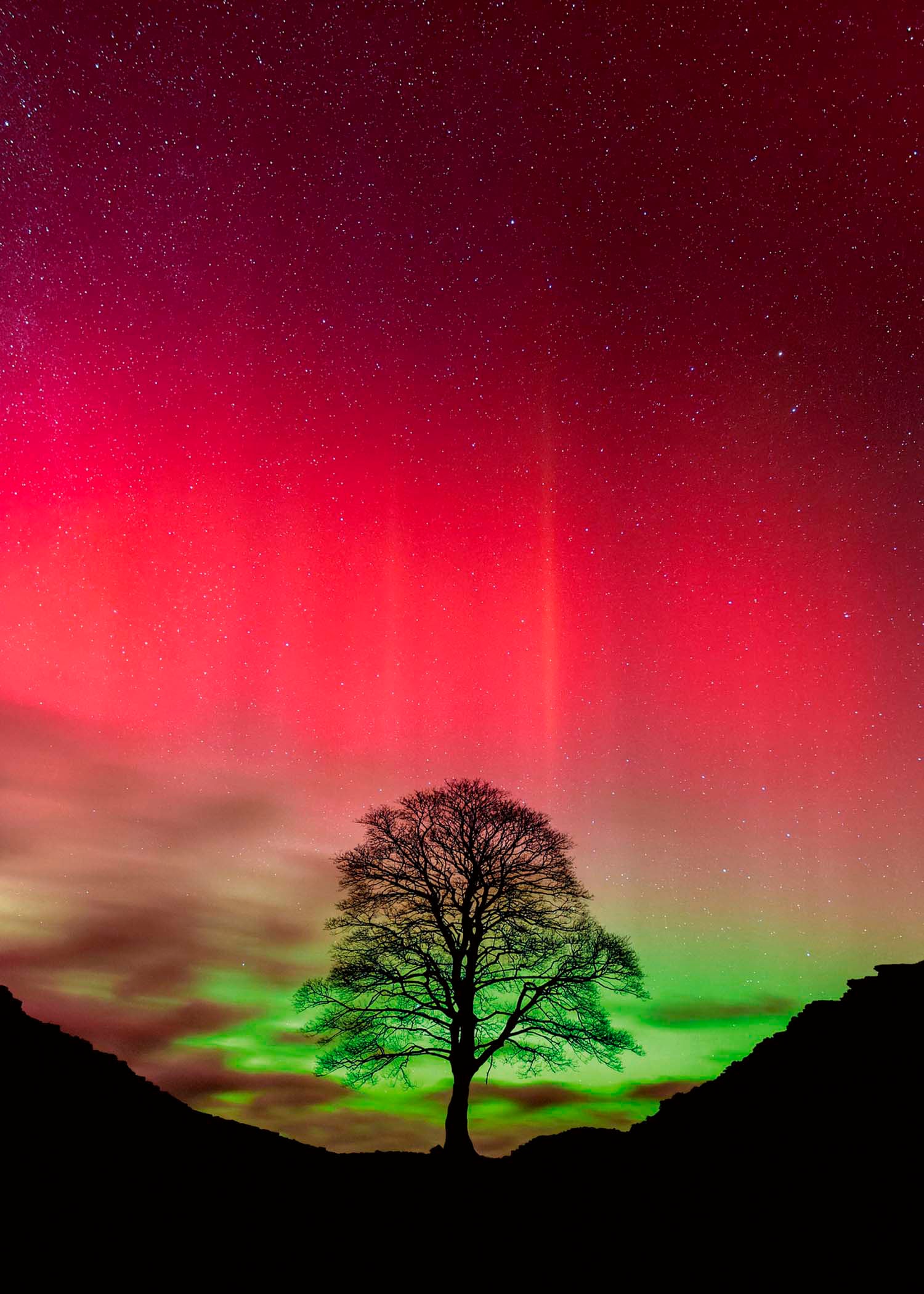 HEYE Puzzle »Sycamore Gap / Power of Nature«, Made in Germany