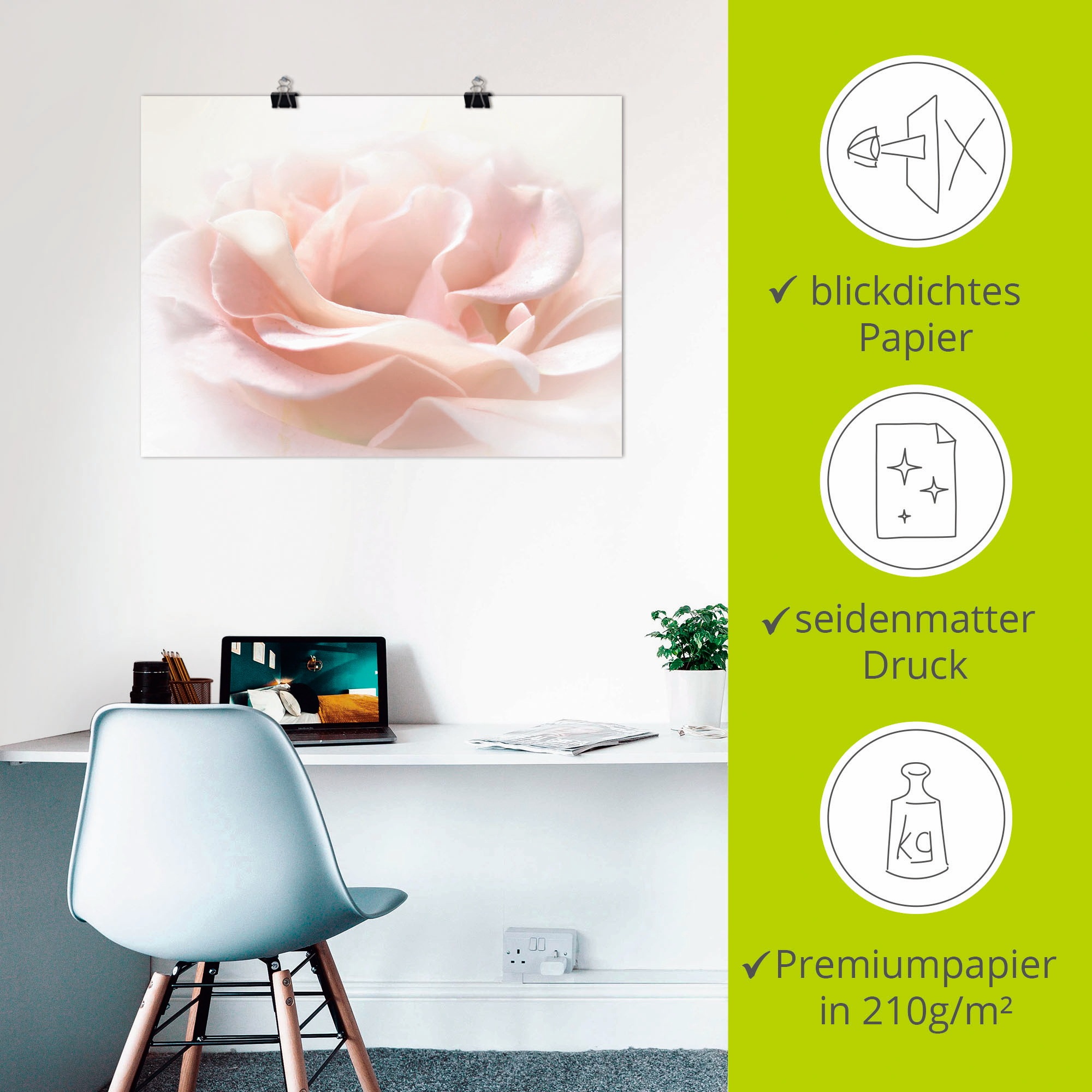 Artland Wandbild »Rose I« Blumen 1 Stk. tlg. als Alubild, Poster in verschied. Größen