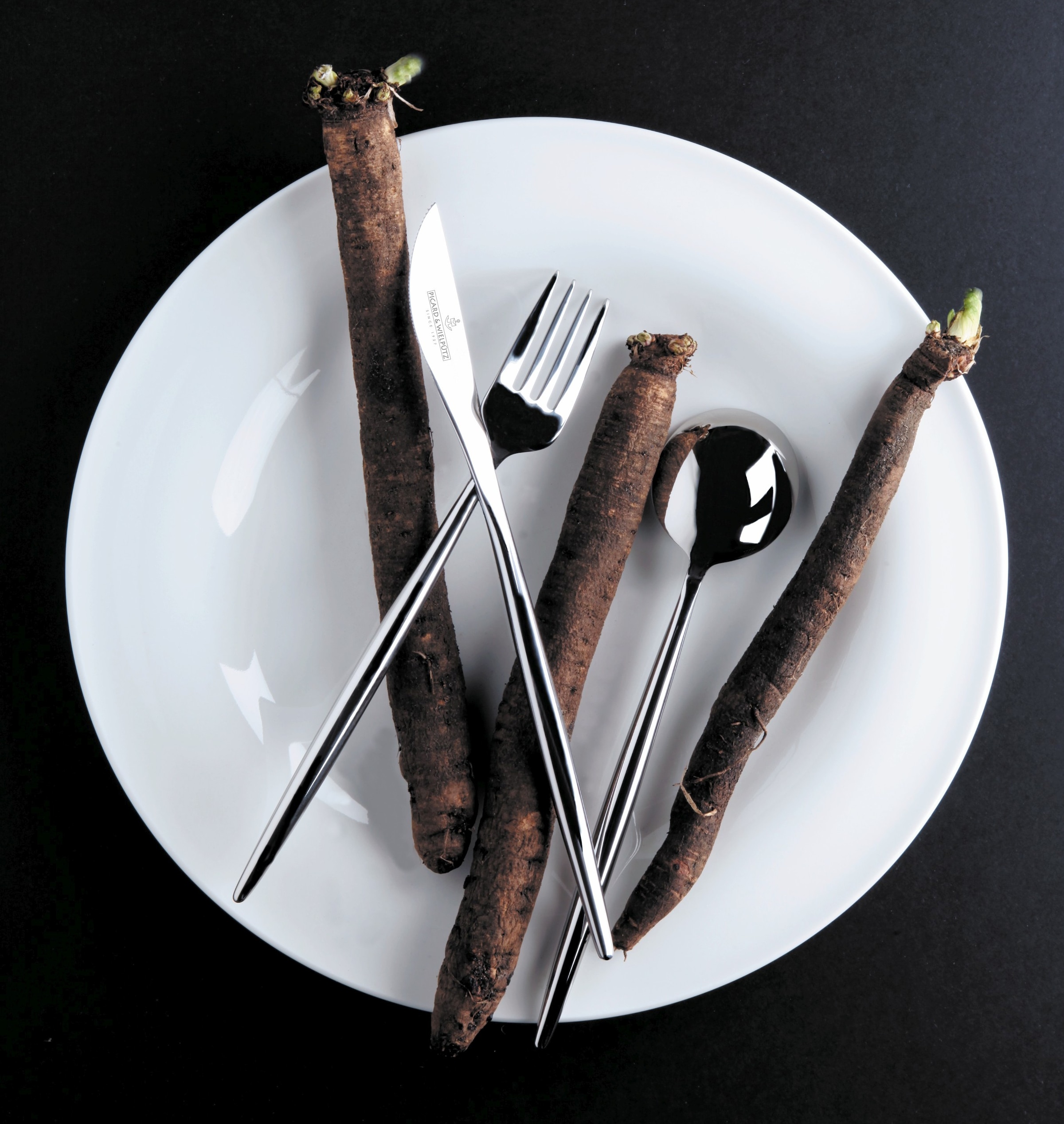 Picard & Wielpütz Solingen Besteck-Set »Lotus, wahlweise als 24-, 30- oder 60-teiliges Set erhältlich« modernes und außergewöhnliches Design