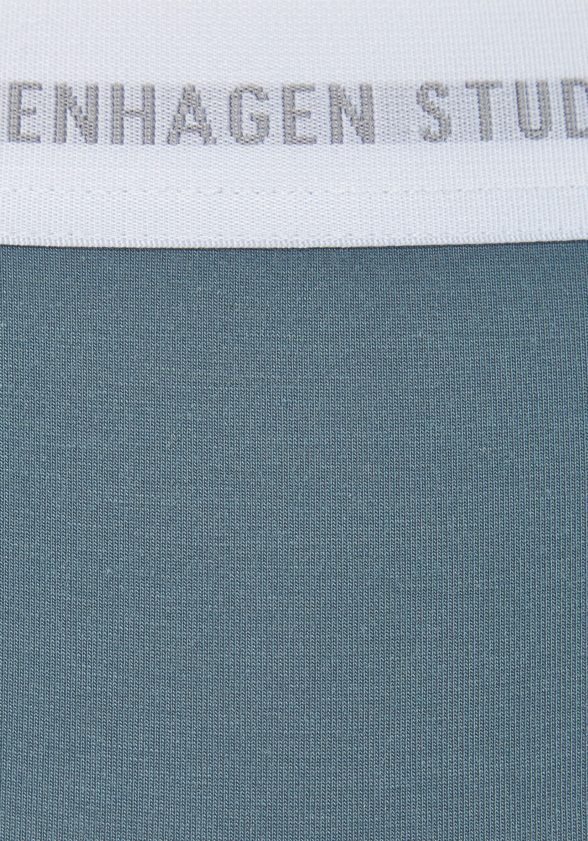 Copenhagen Studios Bikinislip mit elastischem Logobund