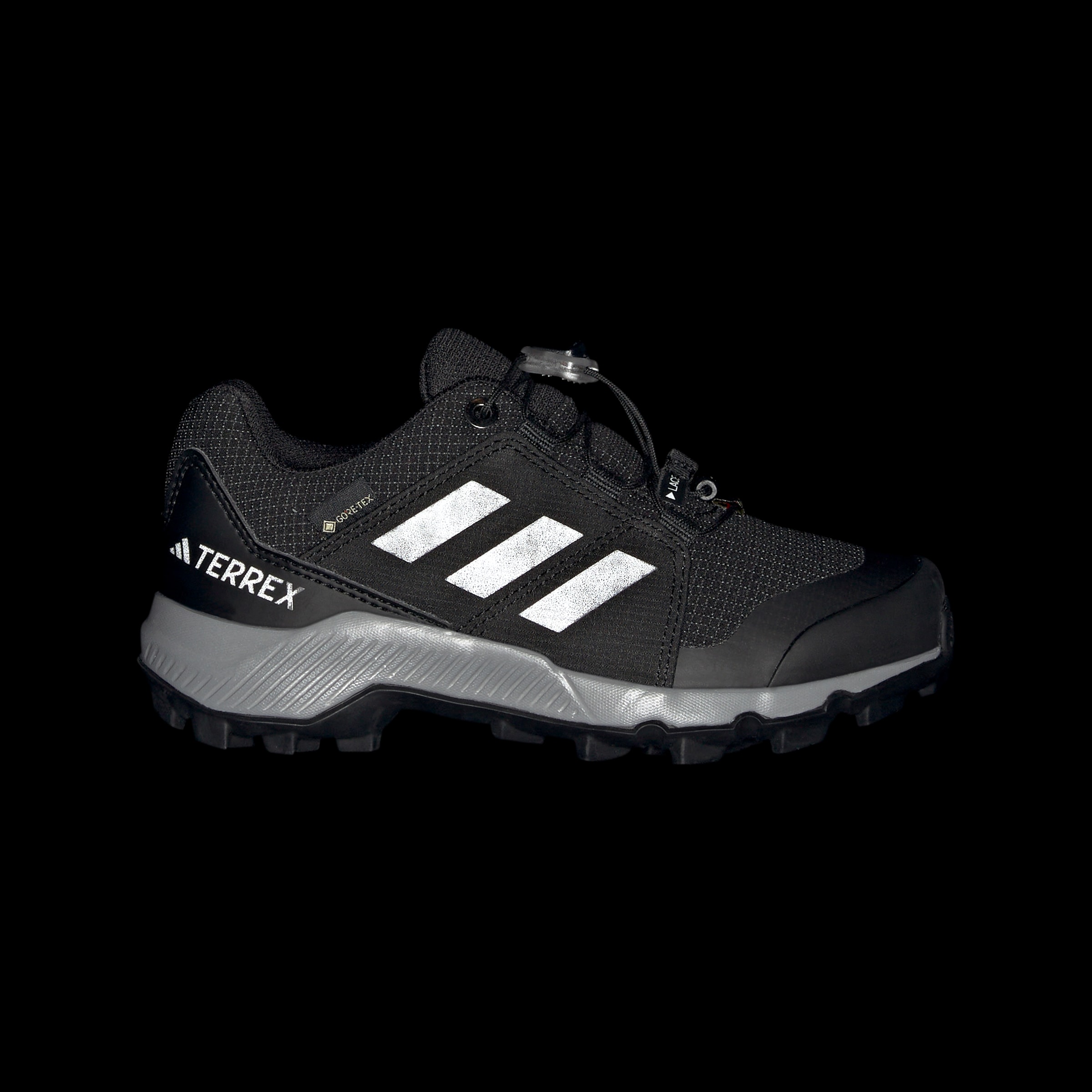 adidas TERREX Wanderschuh »TERREX GORE-TEX«