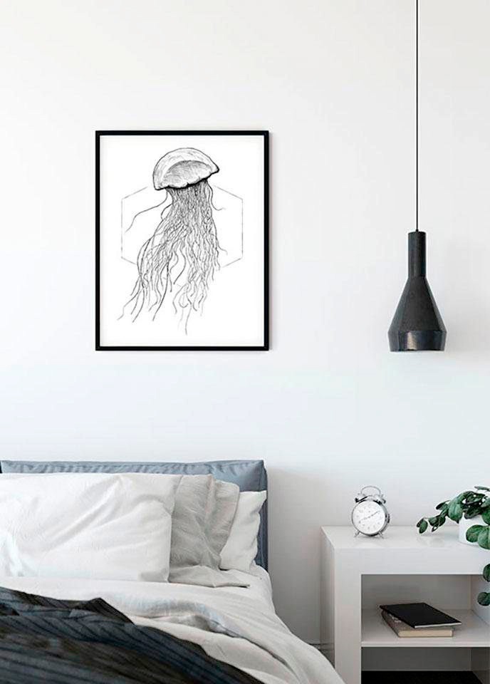 Komar Poster »Jellyfish White«, Tiere, (1 St.), Kinderzimmer, Schlafzimmer,  Wohnzimmer online bei OTTO