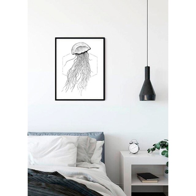 Komar Poster »Jellyfish White«, Tiere, (1 St.), Kinderzimmer, Schlafzimmer,  Wohnzimmer online bei OTTO