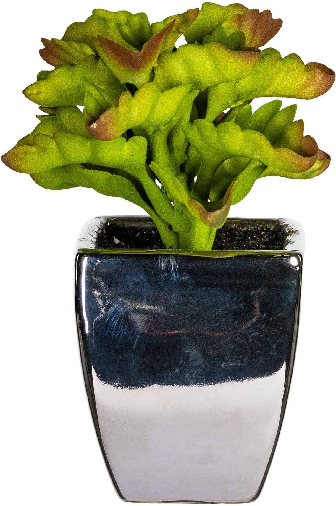 Leonique Kunstpflanze »Loreen« im Topf, 3er Set