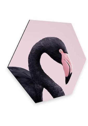 Wall-Art Metallbild »Rosa Flamingo Pink Black Hexagon«, (1 St.) kaufen