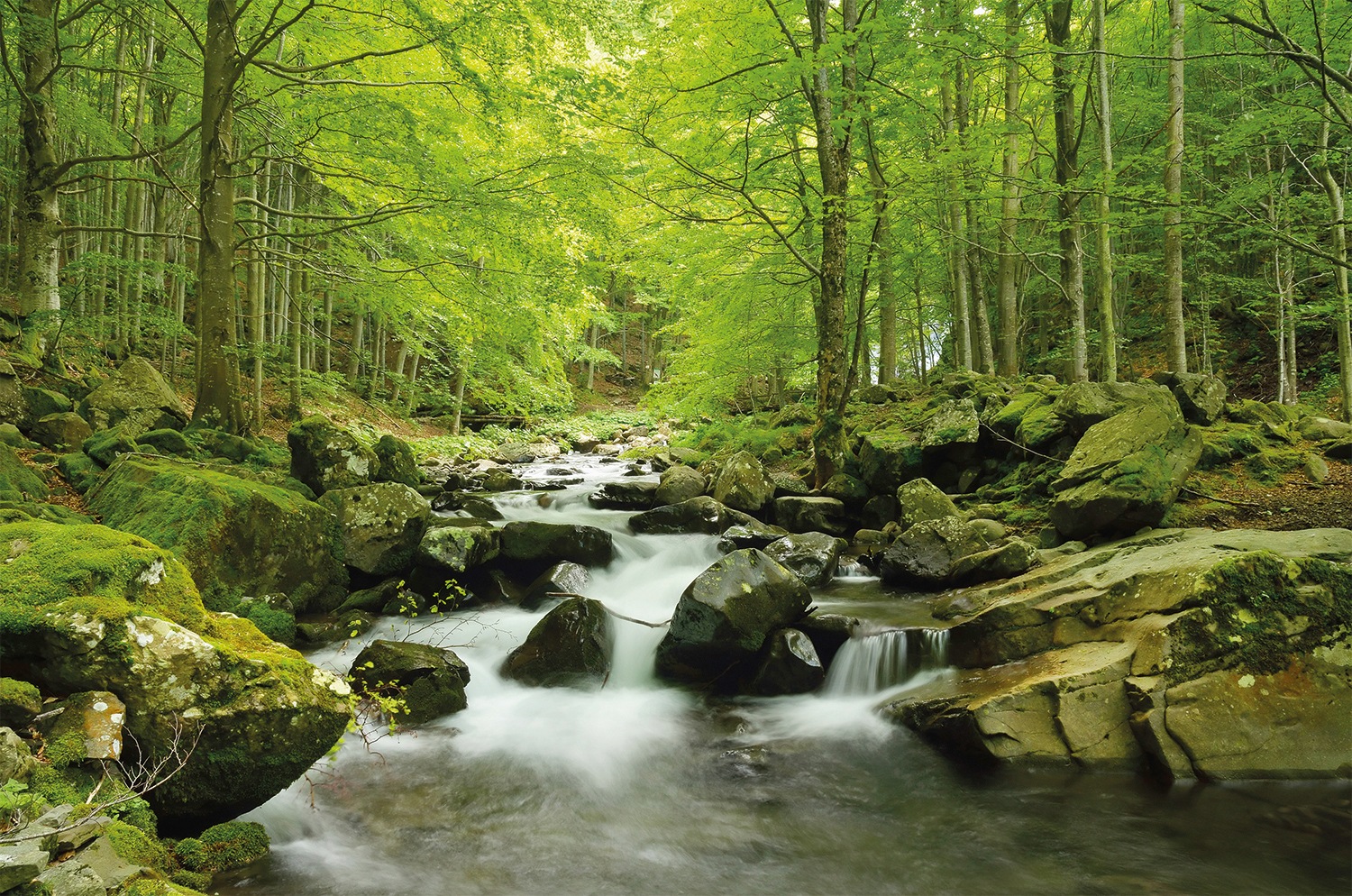 Papermoon Fototapete »Soft Water Stream«