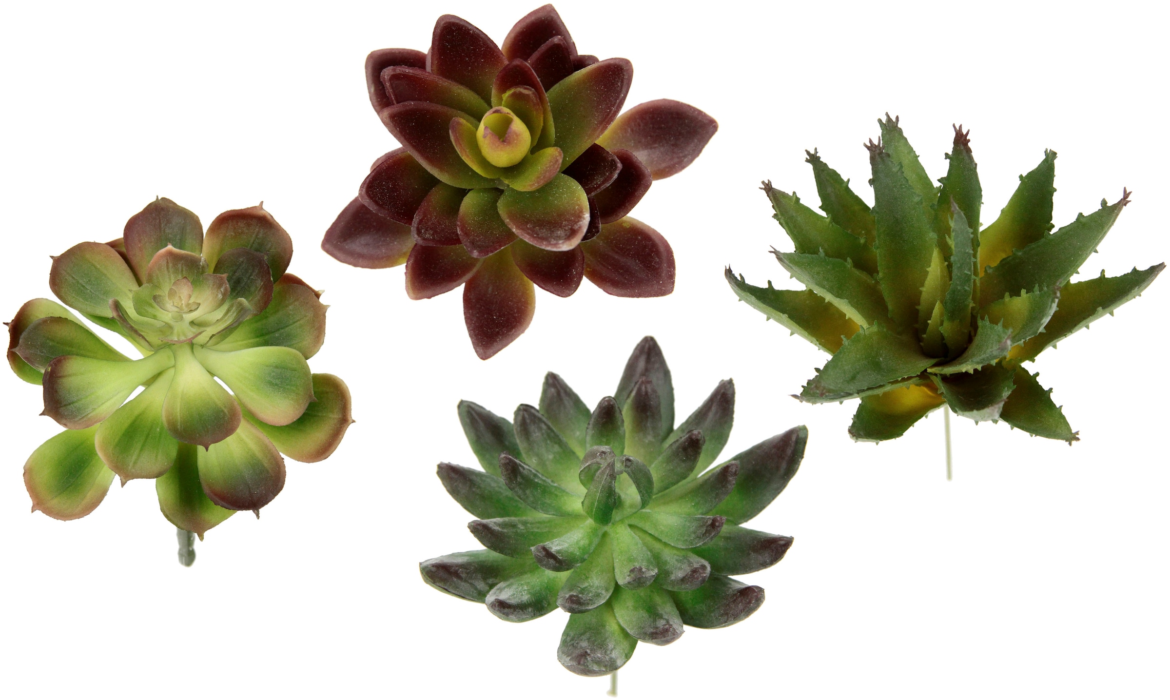 I.GE.A. Kunstpflanze »Dekorative Sukkulenten«, (4 St.), 4er Set, künstliche Pflanzen, Sukkulenten, Aloe, Agave, Kaktus