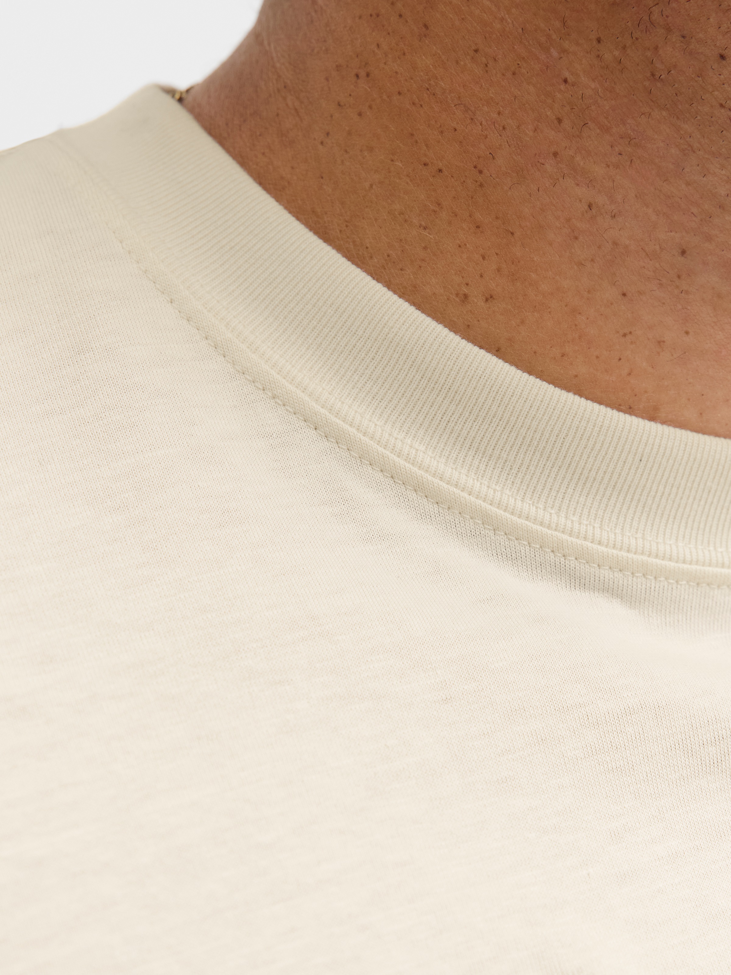 Jack & Jones PlusSize T-Shirt »JORNORREBRO EMB TEE SS CREW NECK PLS«