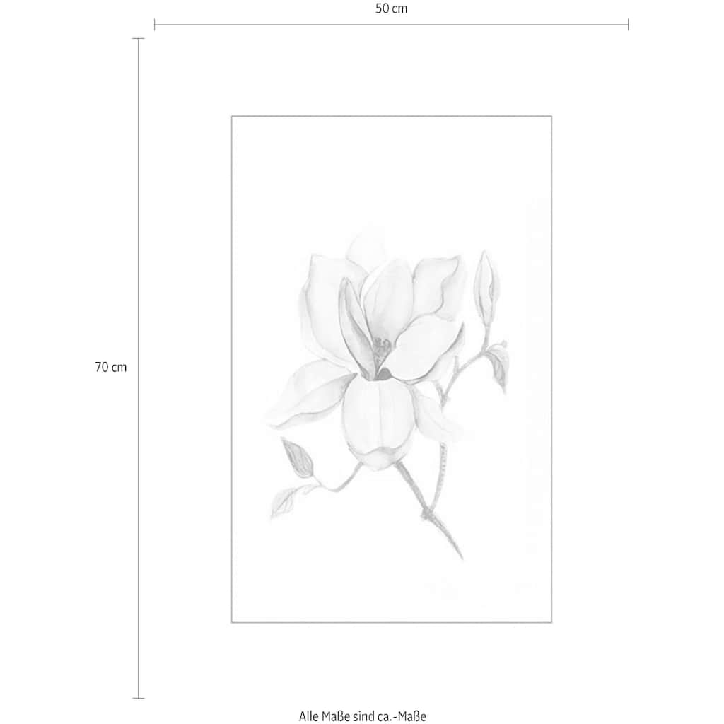 Komar Poster »Magnolia Shine«, Blumen, (1 St.)