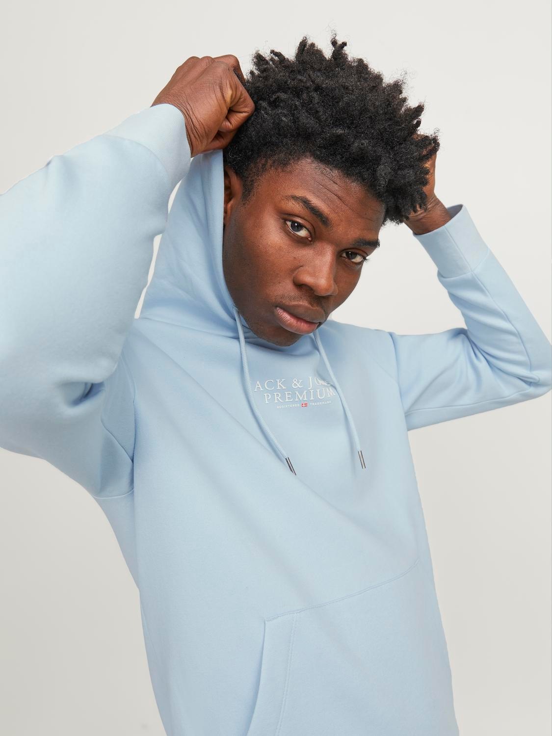 Jack & Jones Kapuzensweatshirt »JPRBLUARCHIE SWEAT HOOD NOOS«
