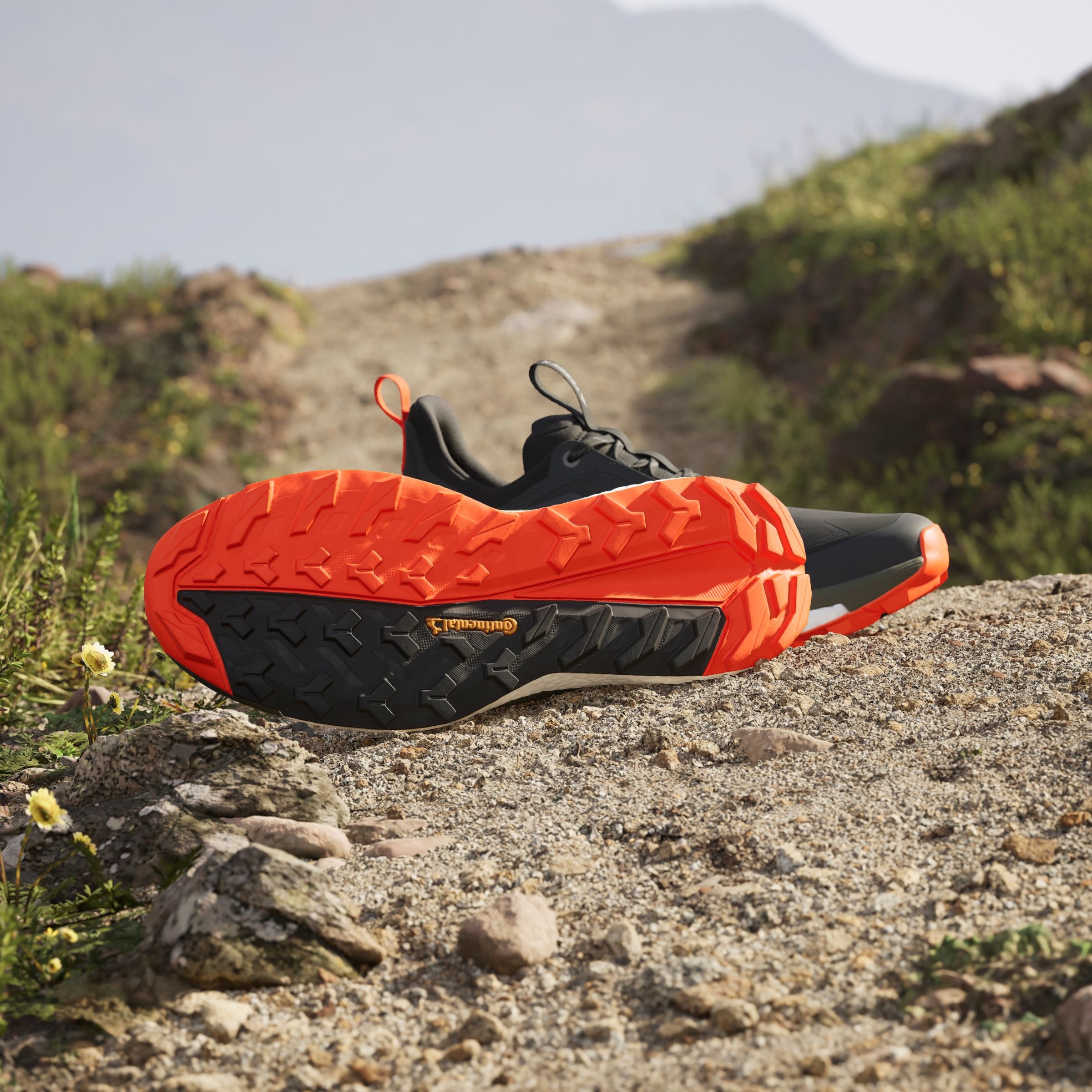 adidas TERREX Wanderschuh »TERREX FREE HIKER 2.0 LOW«