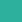 mint mint