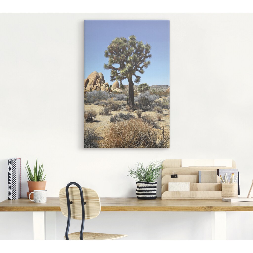 Artland Leinwandbild »Joshua Tree in der Mojave Wüste III«, Wüste, (1 St.)