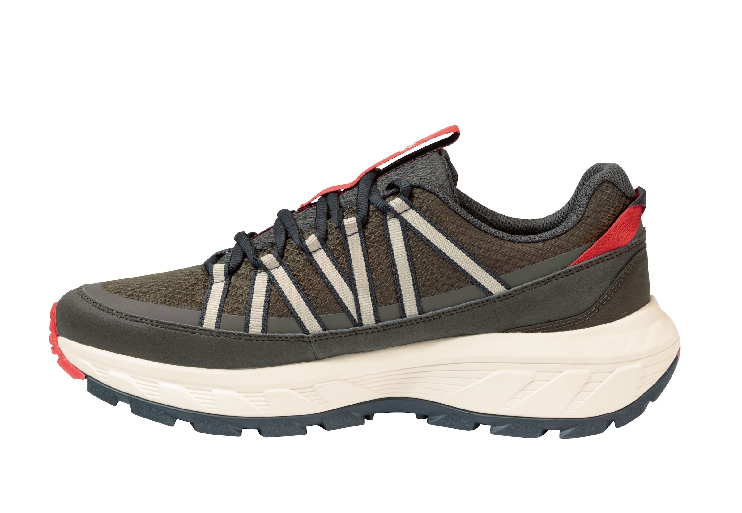 Jack Wolfskin Wanderschuh »WILD HIKE TEXAPORE LOW M«  Outdoorschuh, Trekkingschuh, wasserdicht