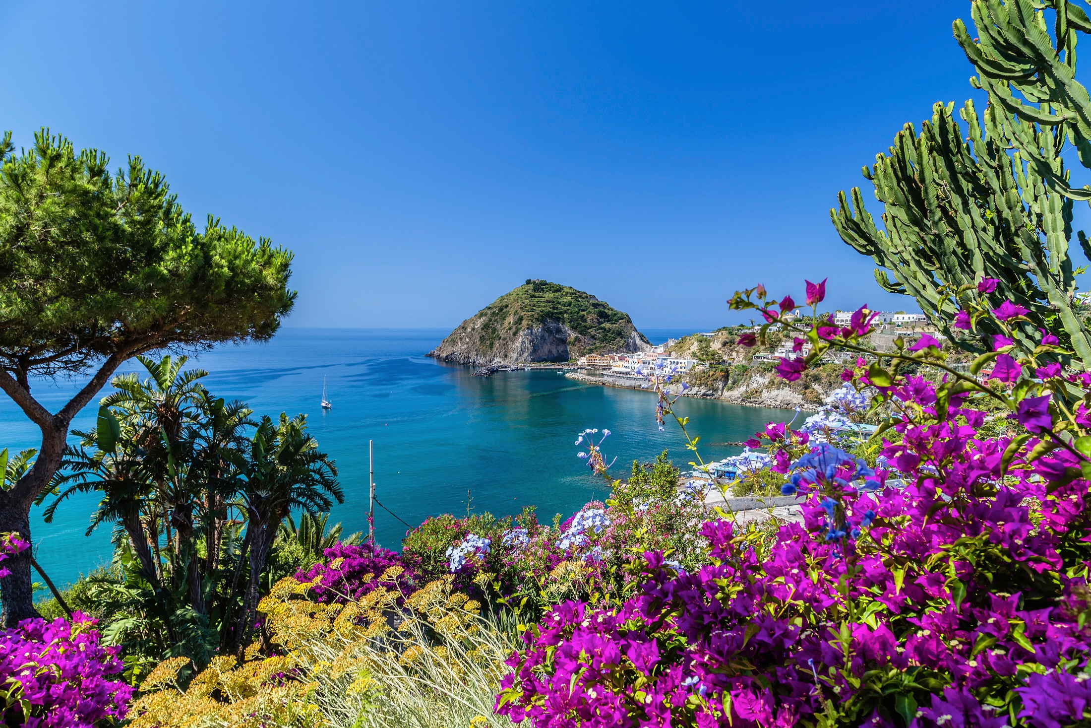 Fototapete »ISCHIA ITALIEN-BOUGANVILLA INSEL MEER BLUME FELSEN WALD«