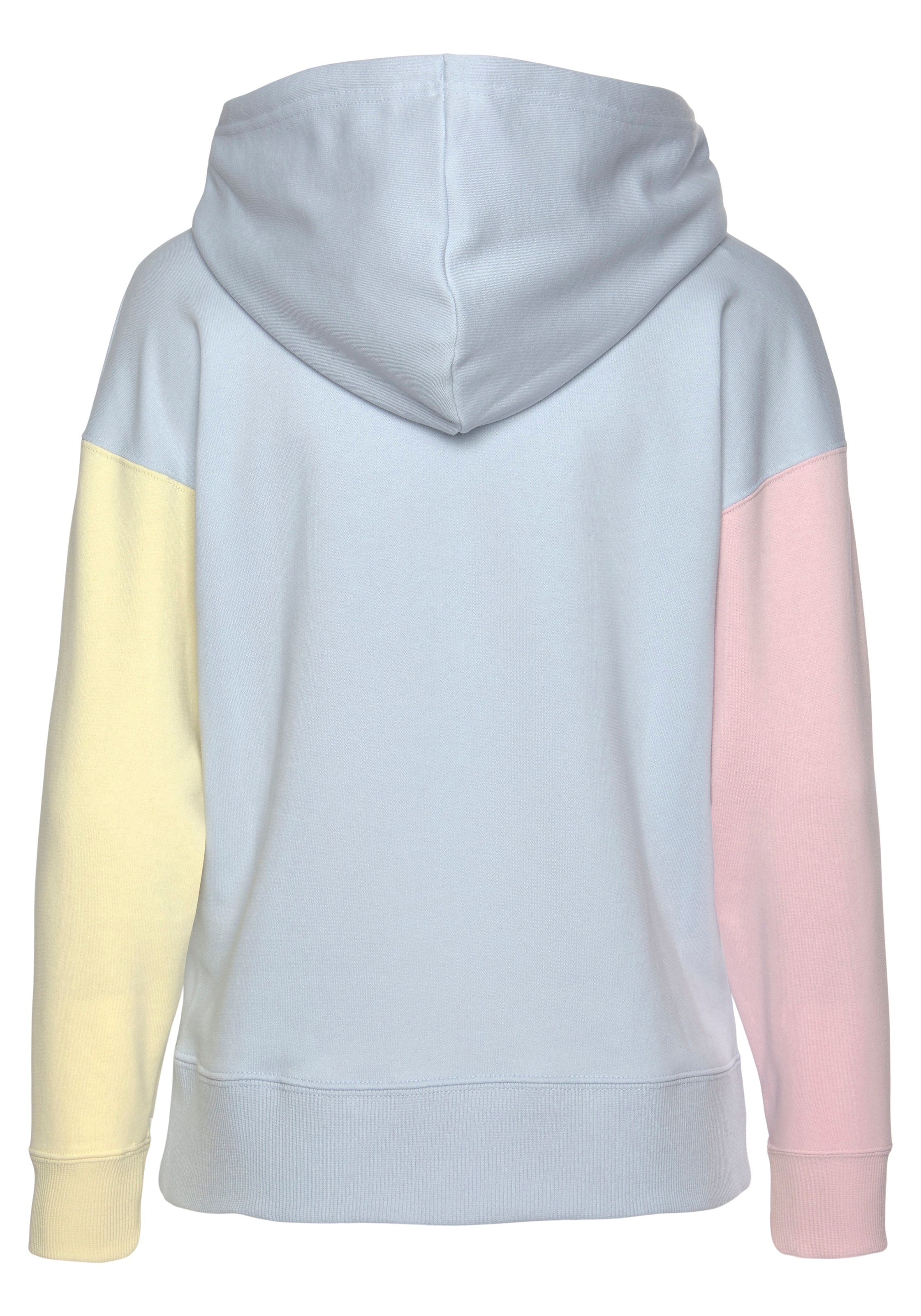 PUMA Kapuzensweatshirt »CLASSICS BLOCK HOODIE TR«