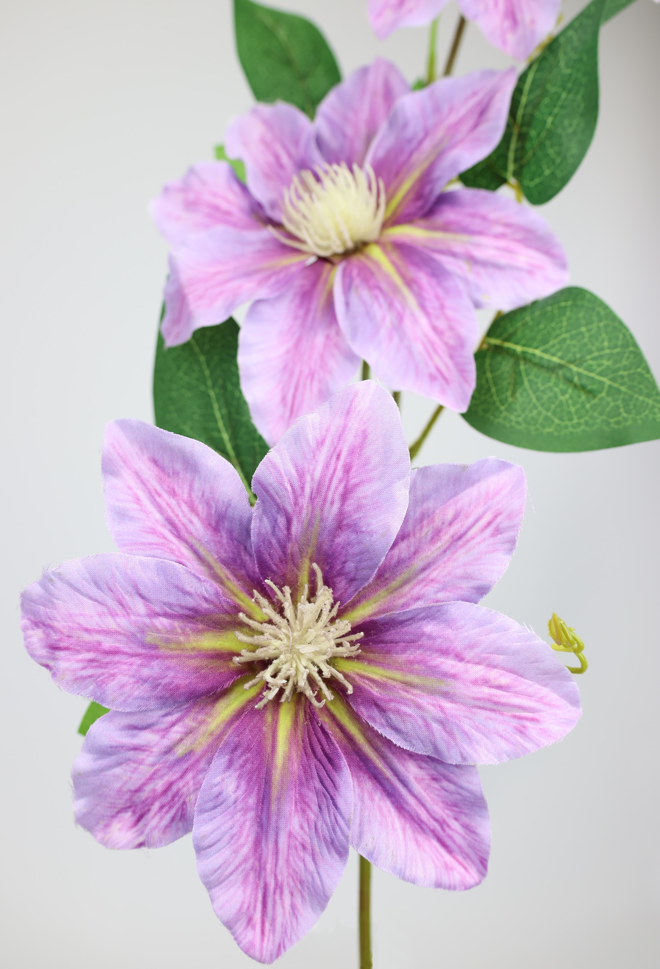 I.GE.A. Kunstblume »Clematisranke Waldrebe« Zweig Einzelblume Stielblume, 2er Set