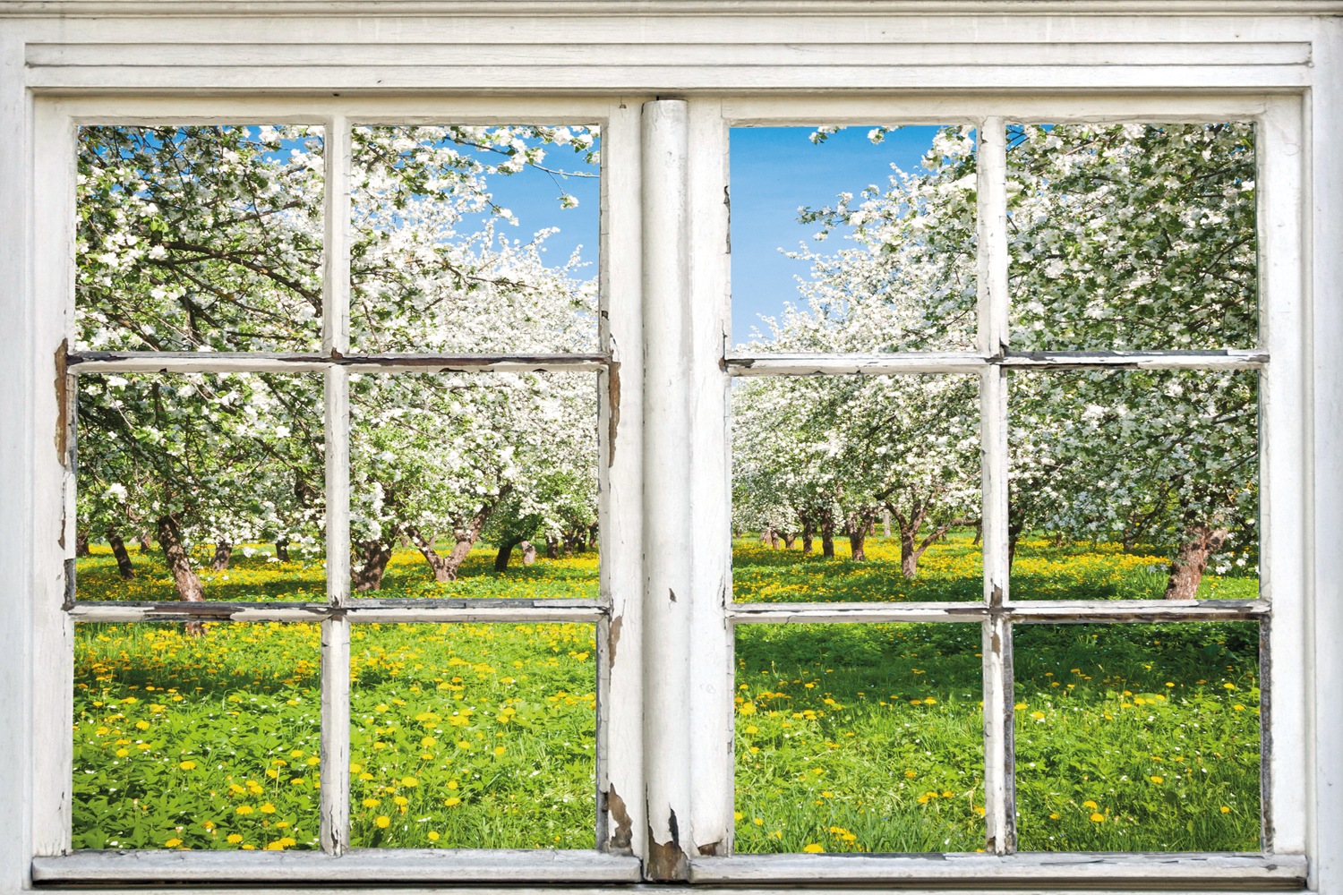 queence Leinwandbild »Apfelbäume«, Bäume-Natur-Wiesen & Bäume-Fensterblick, (1 St.), Premium-Leinwandstoff