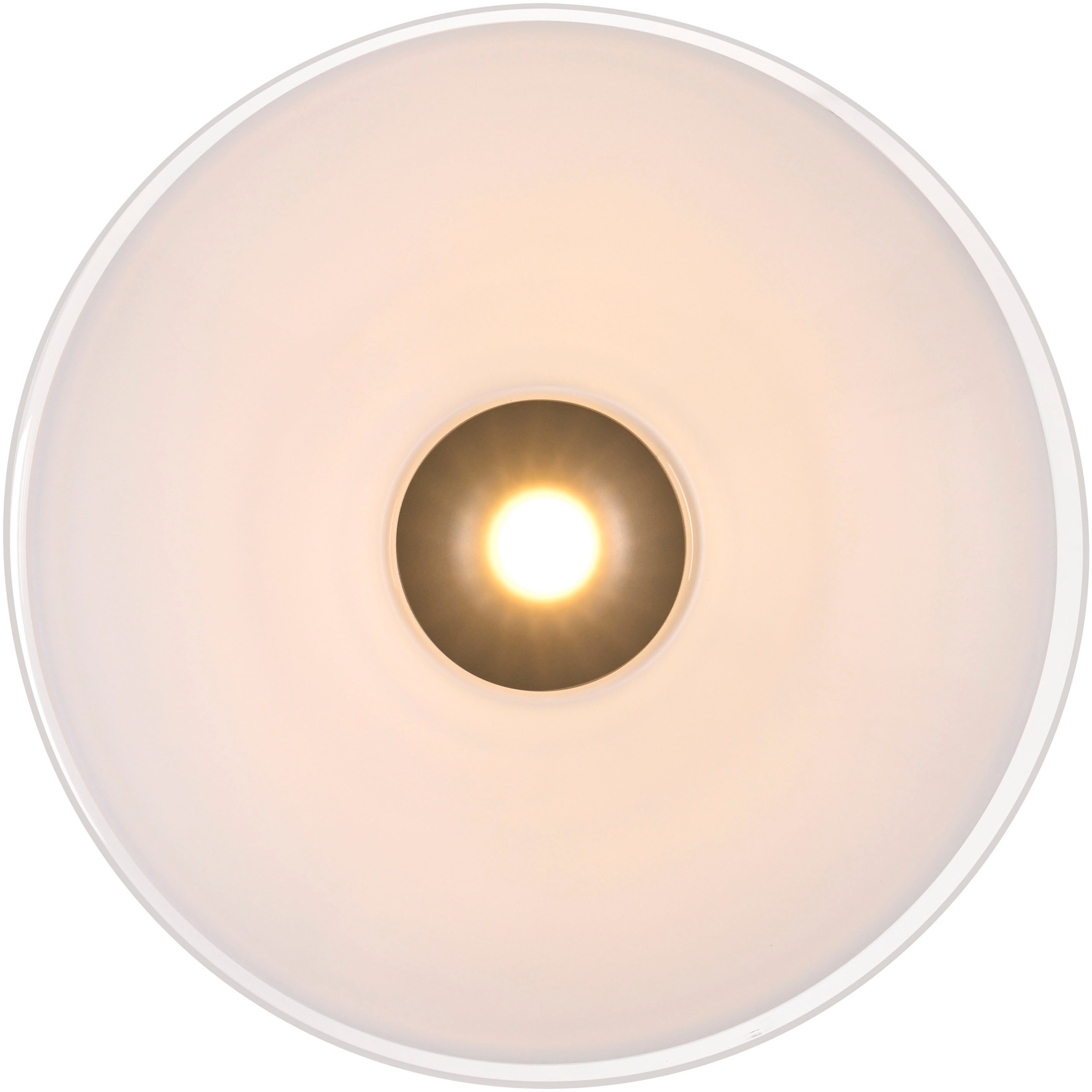 Paul Neuhaus LED Deckenleuchte »ELIPSA« LED-Board 1 Stk. Warmweiß Dimmfähig über separaten Tronicdimmer, Opalglas