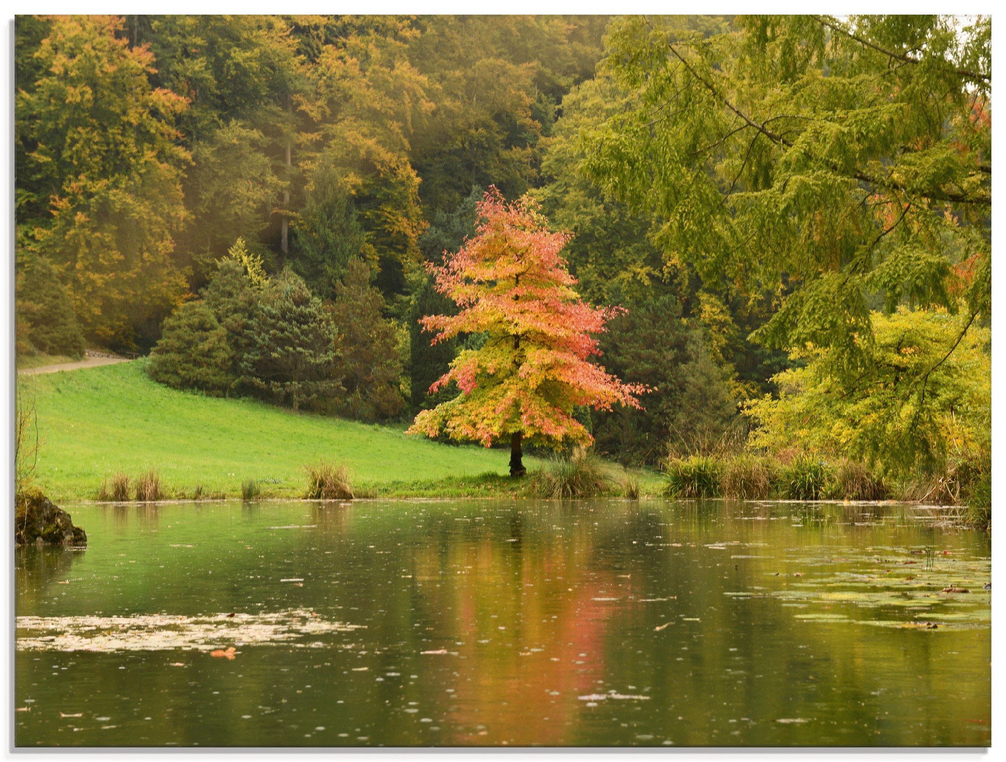 Artland Glasbild »Herbstbäume«, Gewässer, (1 St.)