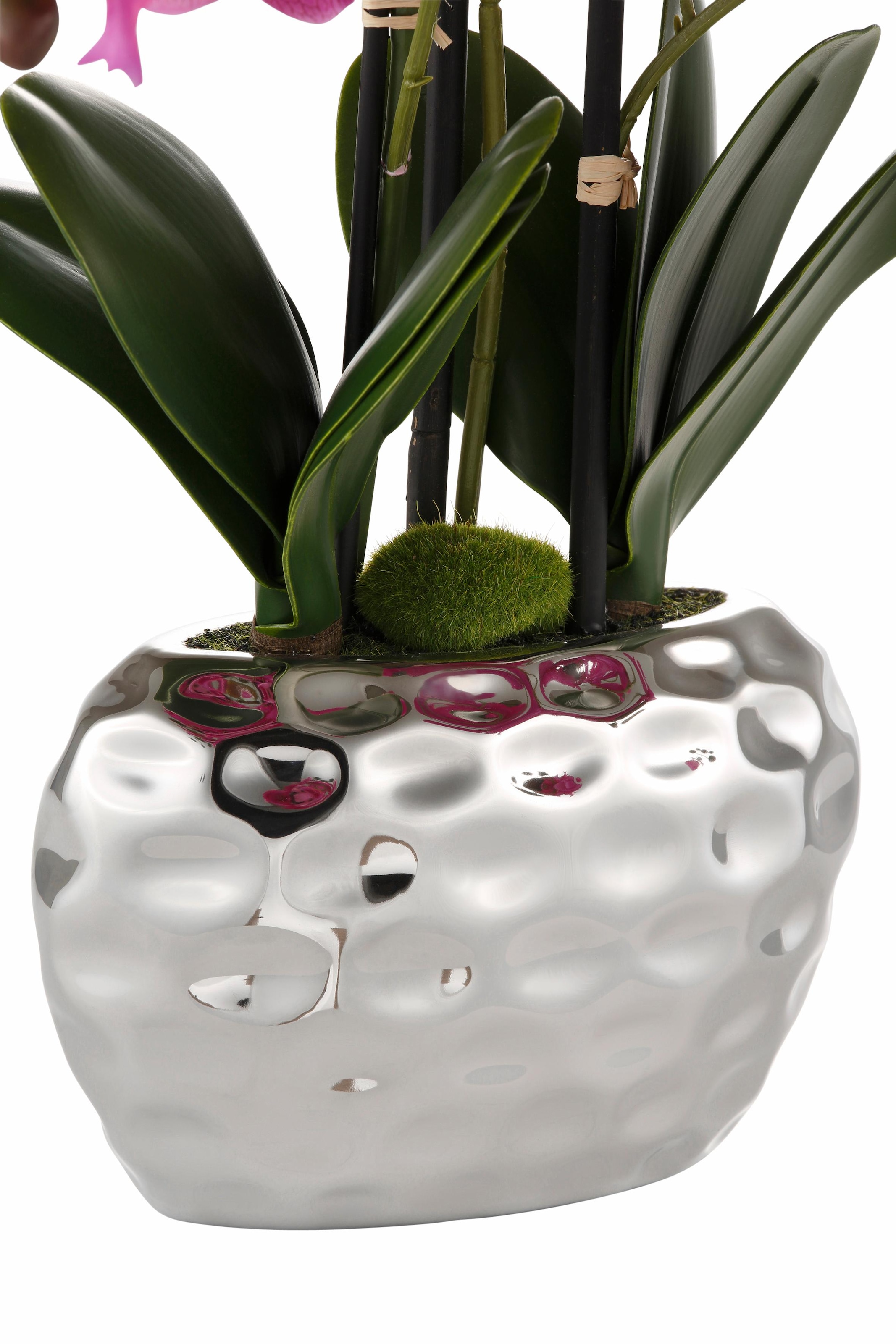 St.) (1 bestellen green Kunstpflanze Creativ OTTO »Orchidee«, bei