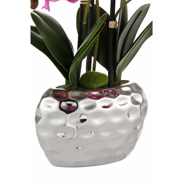Creativ green Kunstpflanze »Orchidee«, (1 St.) bestellen bei OTTO