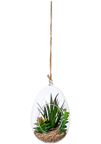 Creativ green Künstliche Zimmerpflanze »Sukkulenten-Mix mit LED-Beleuchtung«, (1 St.),... kaufen
