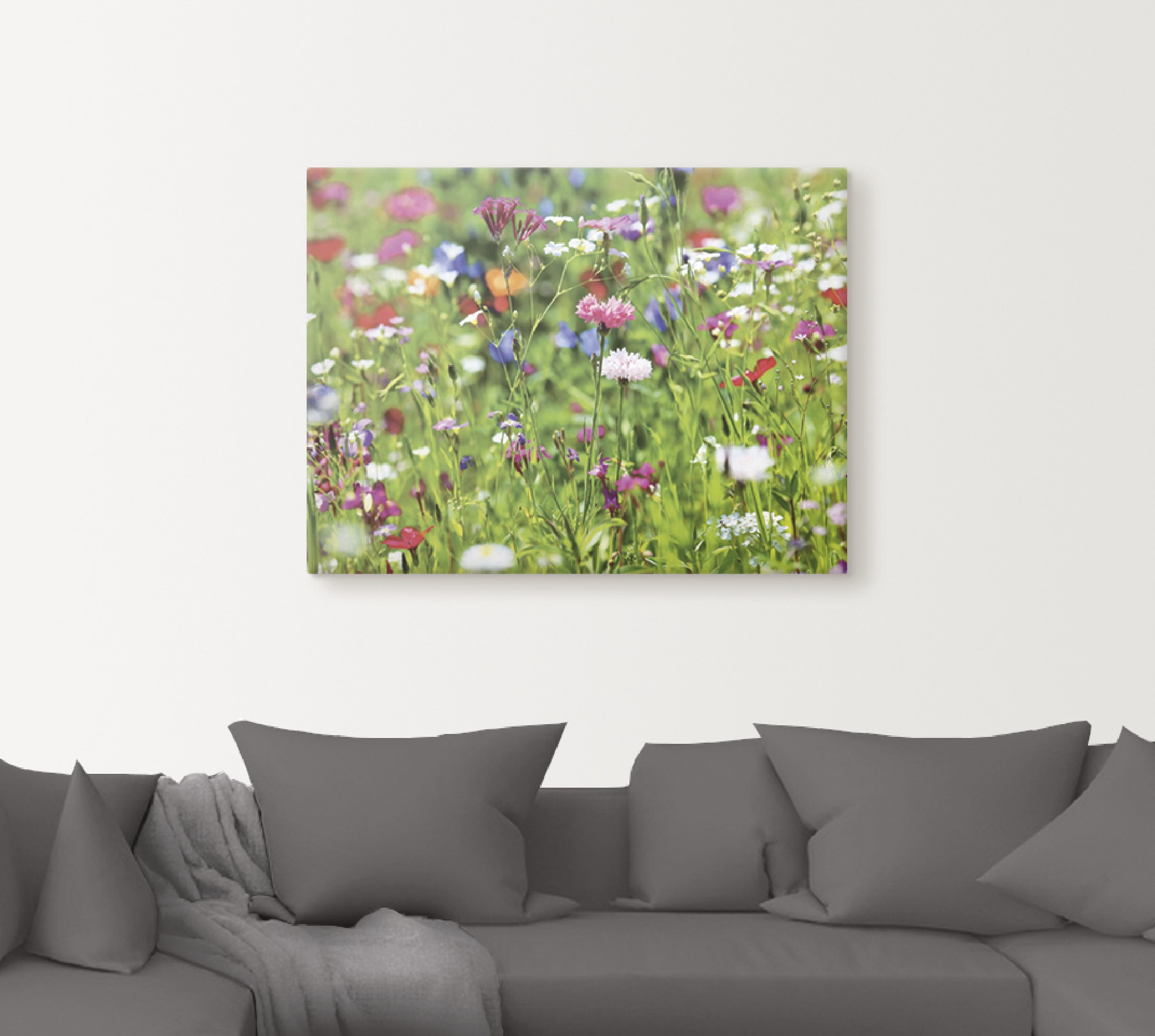Artland Wandbild »Blumenwiese I«, Blumenwiese, (1 St.), als Leinwandbild, Poster in verschied. Größen