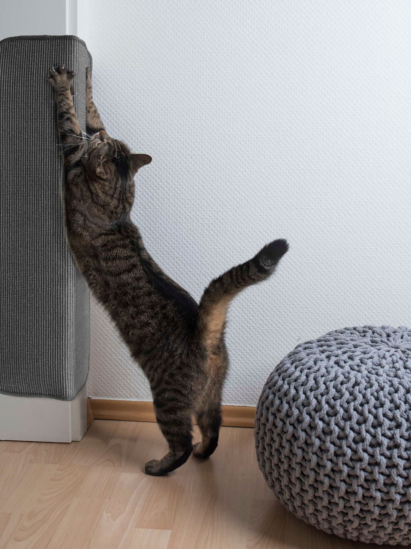 Primaflor-Ideen In Textil Kratzbrett »Katzen-Kratzmatte SISALLUX in grau, Größe B/H/L: 160 cm x 0,6 cm x 240 cm