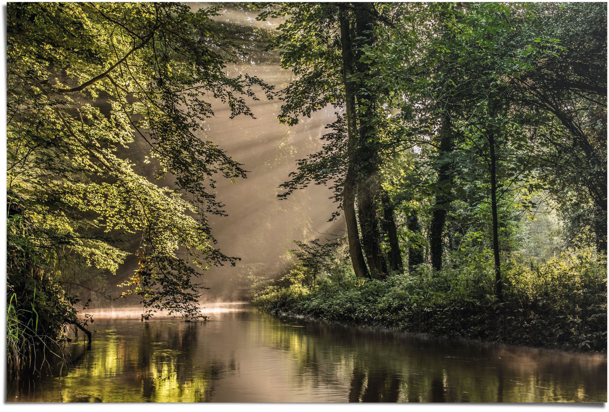 Reinders! Poster »Lichtspiel am Waldsee«, (1 St.)