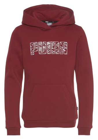 PUMA Kapuzensweatshirt »Graphic Hoodie« kaufen
